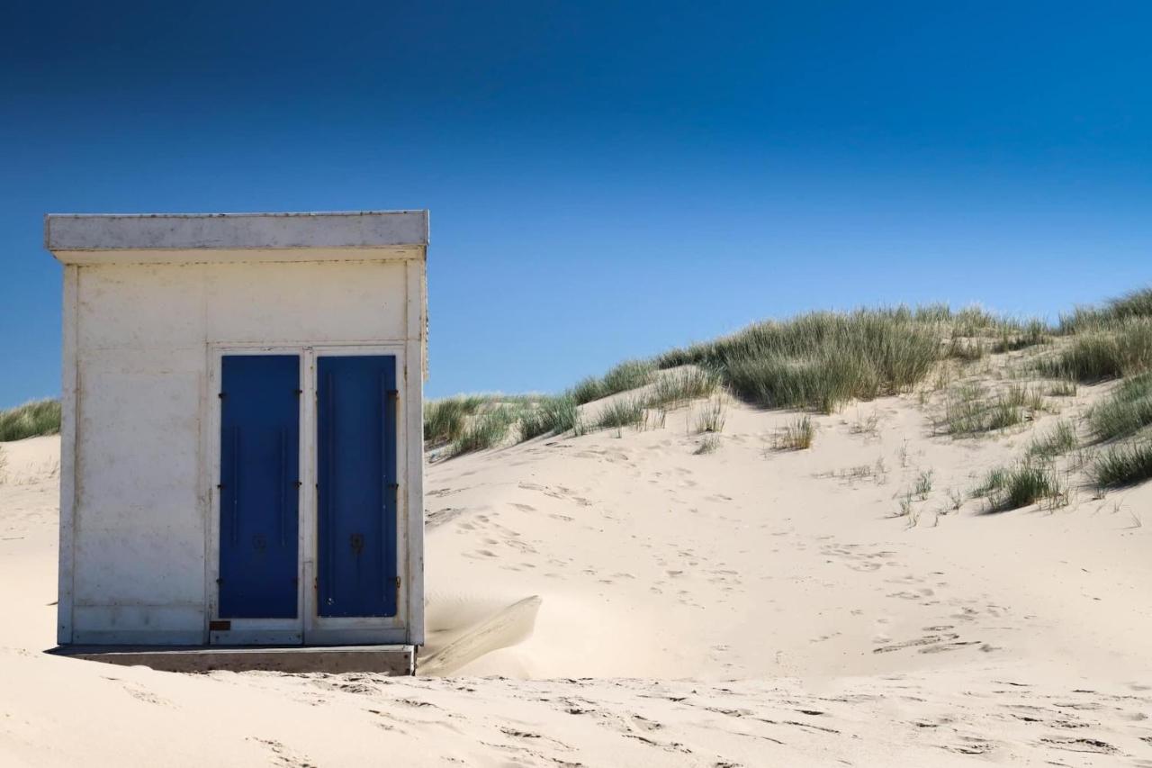 Le Presbytere Des Baraques A Bleriot-Plage - Apt 3 Sangatte Dış mekan fotoğraf